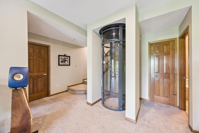 13703 47th St NE, Saint Michael, MN 55376 - hall featuring light colored carpet and a textured ceiling