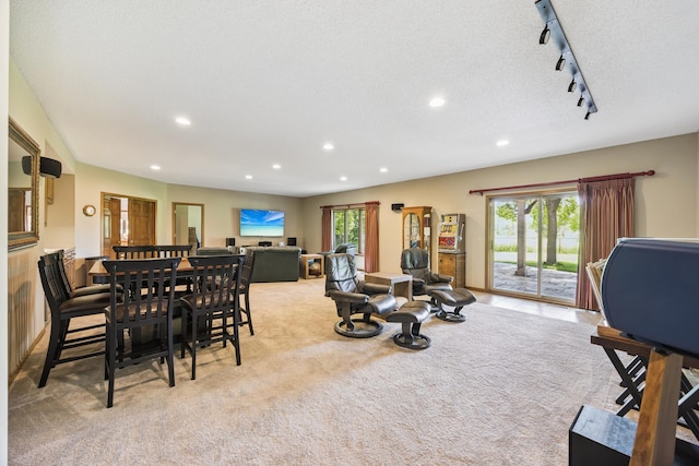 13703 47th St NE, Saint Michael, MN 55376 - dining space with rail lighting, light carpet, recessed lighting, and plenty of natural light