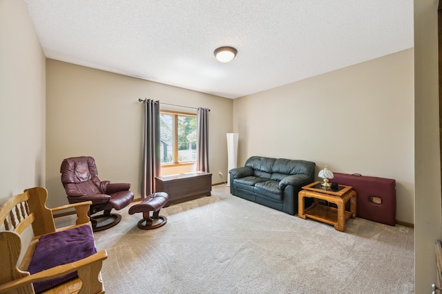 13703 47th St NE, Saint Michael, MN 55376 - sitting room with carpet flooring and a textured ceiling