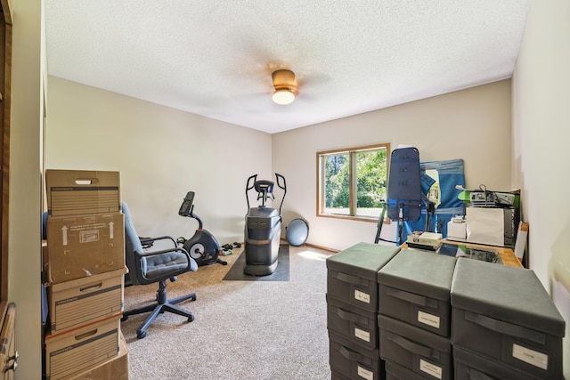 13703 47th St NE, Saint Michael, MN 55376 - office with carpet and a textured ceiling