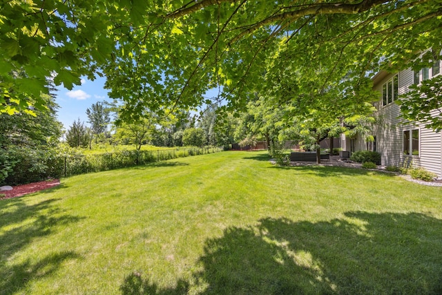 13703 47th St NE, Saint Michael, MN 55376 - view of fenced yard