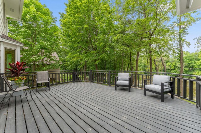 9421 Dallas Ln N, Maple Grove, MN 55369 - photo 77