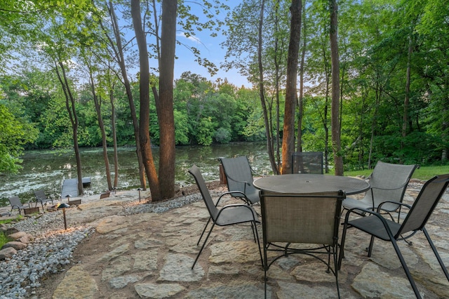 9421 Dallas Ln N, Maple Grove, MN 55369 - photo 78