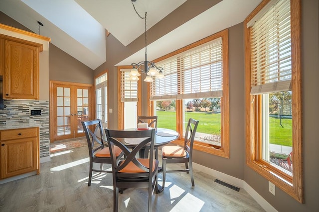 35337 County 24th Blvd, Warsaw Twp, MN 55009 - dining space with french doors, plenty of natural light, light wood-style floors, a chandelier, and lofted ceiling