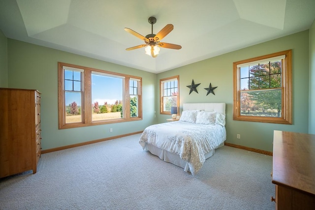 35337 County 24th Blvd, Warsaw Twp, MN 55009 - carpeted bedroom featuring a raised ceiling, multiple windows, and a ceiling fan