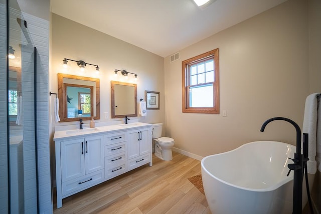 35337 County 24th Blvd, Warsaw Twp, MN 55009 - full bathroom featuring a freestanding bath, double vanity, wood finished floors, and a walk in shower