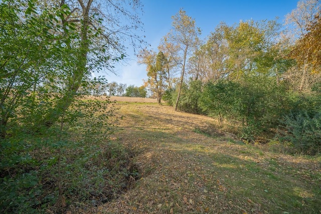 35337 County 24th Blvd, Warsaw Twp, MN 55009 - view of yard