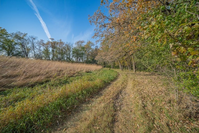 35337 County 24th Blvd, Warsaw Twp, MN 55009 - view of local wilderness