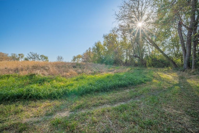 35337 County 24th Blvd, Warsaw Twp, MN 55009 - view of nature