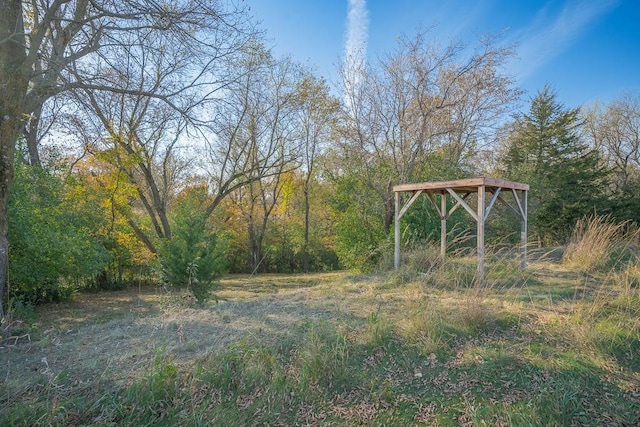 35337 County 24th Blvd, Warsaw Twp, MN 55009 - view of yard with a forest view