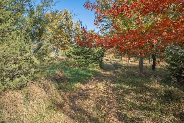 35337 County 24th Blvd, Warsaw Twp, MN 55009 - view of nature