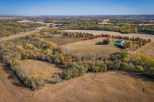 35337 County 24th Blvd, Warsaw Twp, MN 55009 - overview of rural landscape