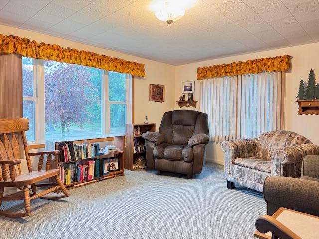 317 2nd St NE, Menahga, MN 56464 - view of carpeted living room