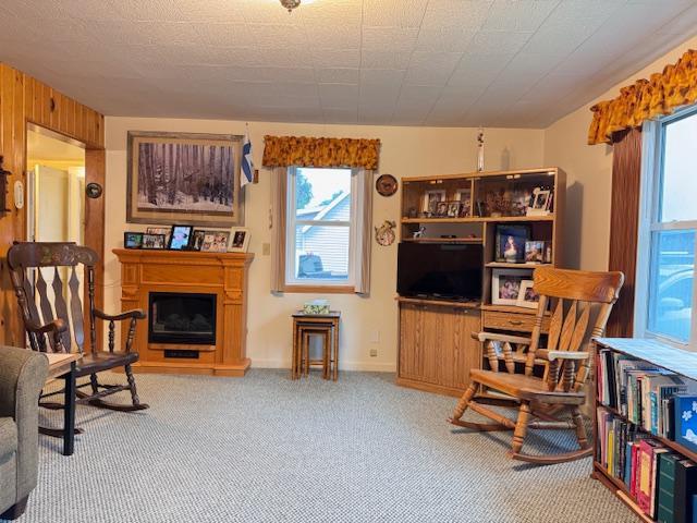 317 2nd St NE, Menahga, MN 56464 - living area with plenty of natural light, carpet, and a fireplace with raised hearth