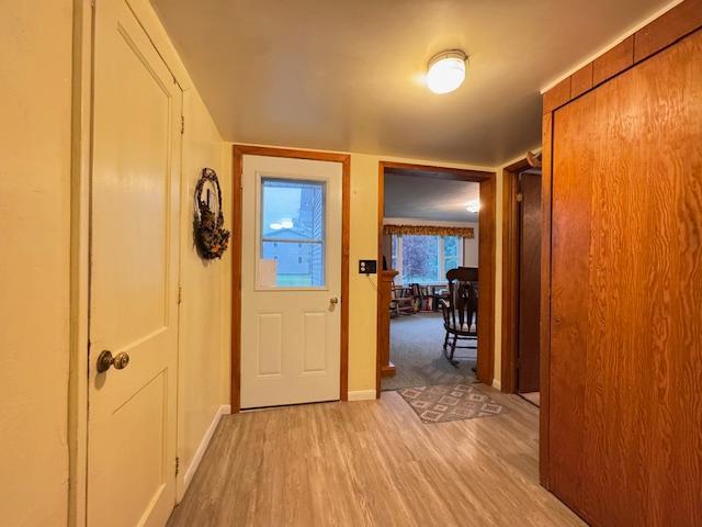 317 2nd St NE, Menahga, MN 56464 - foyer entrance featuring light wood finished floors