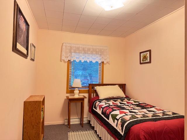 317 2nd St NE, Menahga, MN 56464 - carpeted bedroom with baseboards