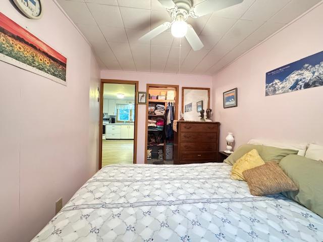 317 2nd St NE, Menahga, MN 56464 - bedroom with a spacious closet and a ceiling fan