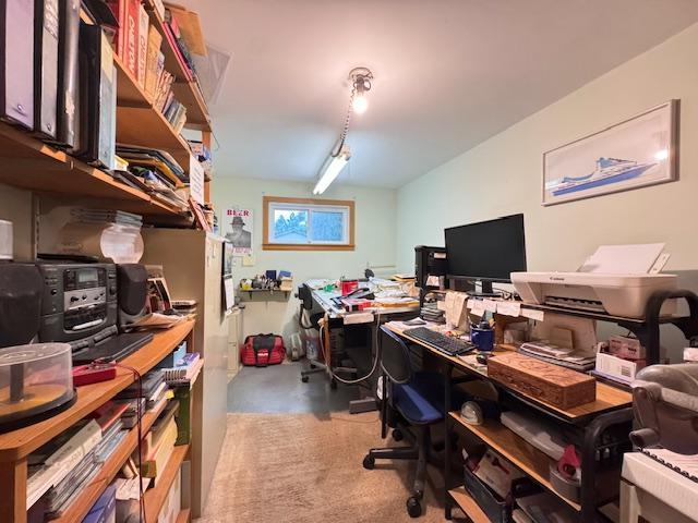 317 2nd St NE, Menahga, MN 56464 - home office with finished concrete flooring