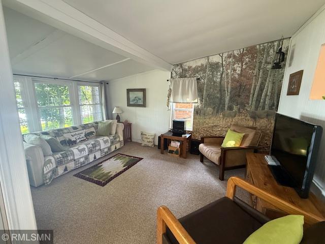 5539 Dahl Rd, Cromwell, MN 55726 - photo 40