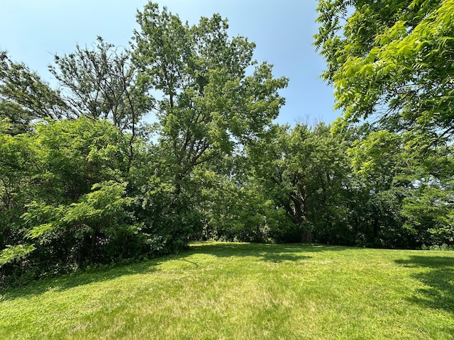 4532 Fairview Ave, Minnetonka, MN 55343 - photo 6