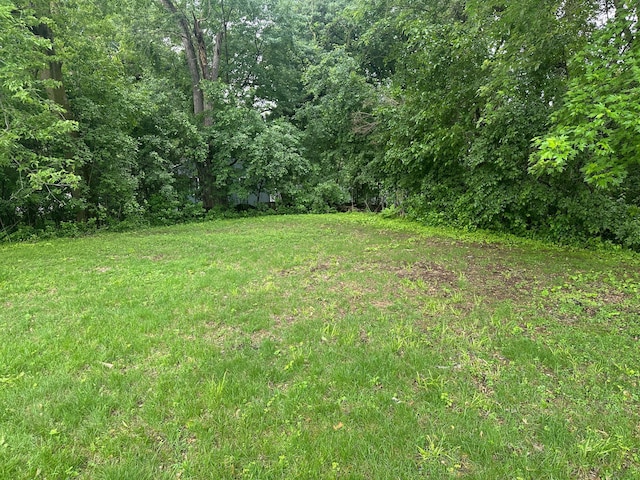 4532 Fairview Ave, Minnetonka, MN 55343 - photo 7