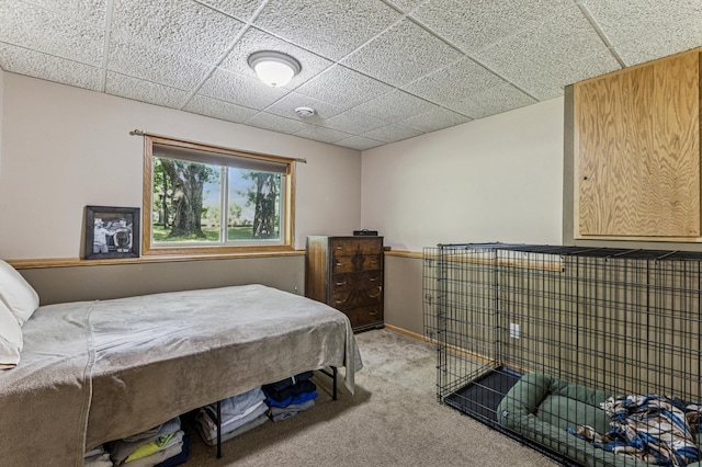 3185 Joyce St, Saint Cloud, MN 56303 - photo 30