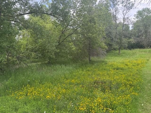 LOT4, BLOCK4 Circle Dr NW, Ida Twp, MN 56308