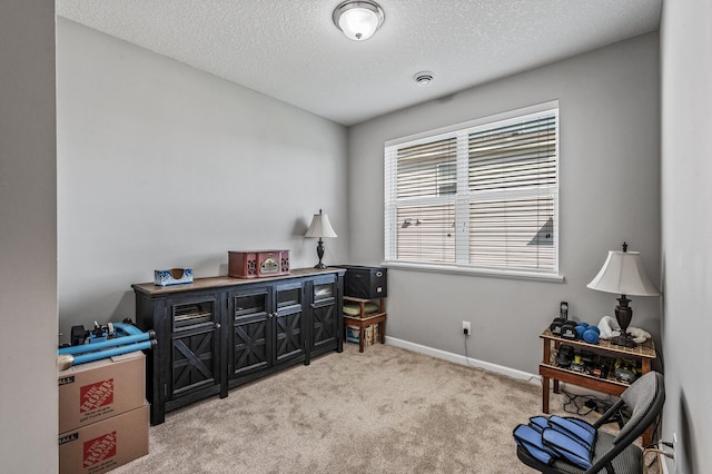 4870 Copper Ridge Dr, Woodbury, MN 55129 - sitting room featuring light carpet and a textured ceiling