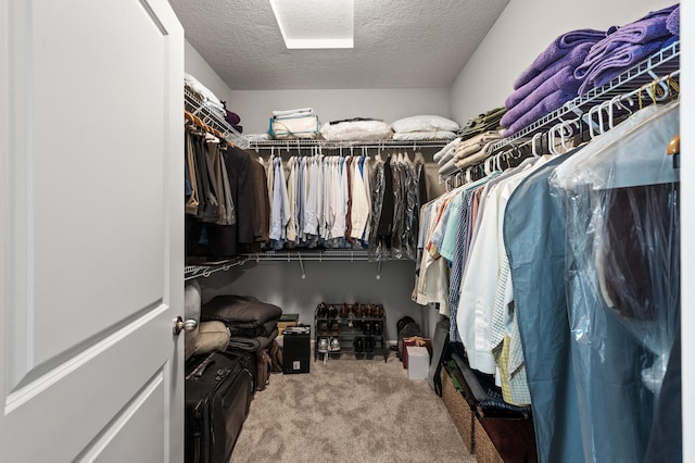 4870 Copper Ridge Dr, Woodbury, MN 55129 - spacious closet with carpet flooring