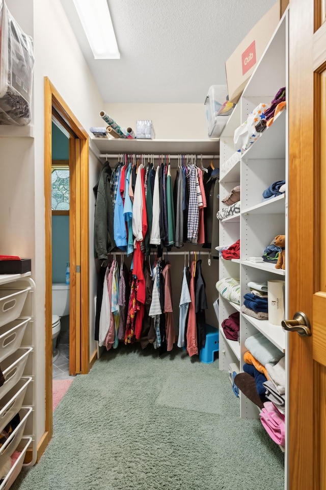1610 63rd St, Chanhassen, MN 55331 - walk in closet featuring carpet