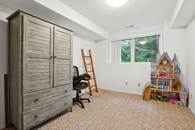 1610 63rd St, Chanhassen, MN 55331 - home office featuring a textured ceiling and carpet floors