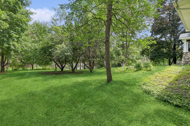 1610 63rd St, Chanhassen, MN 55331 - view of green lawn