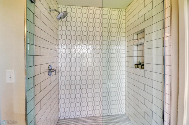 6176 Marigold Loop S, Fargo, ND 58104 - bathroom with a stall shower