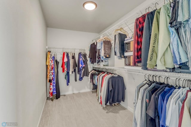 6176 Marigold Loop S, Fargo, ND 58104 - walk in closet featuring carpet