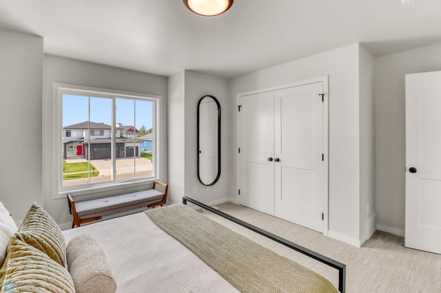 6176 Marigold Loop S, Fargo, ND 58104 - bedroom featuring light colored carpet and a closet