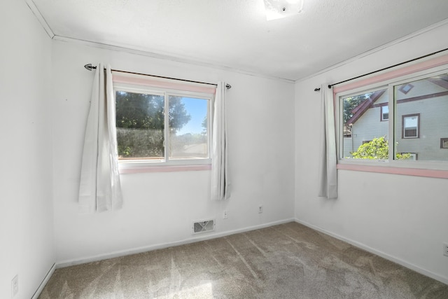1958 6th St N, North Saint Paul, MN 55109 - carpeted spare room featuring healthy amount of natural light