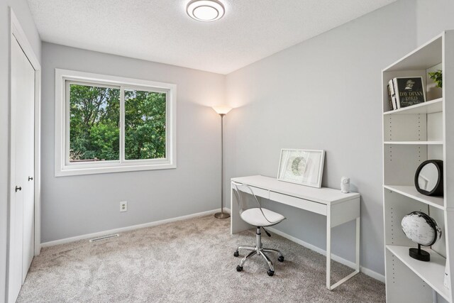 1318 Windcrest Ave, Eagan, MN 55123 - carpeted home office with baseboards and a textured ceiling