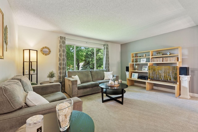 9743 Hemlock Ln N, Maple Grove, MN 55369 - living area with a textured ceiling and light carpet