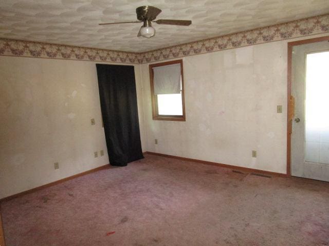 206 Central Ave, Truman, MN 56088 - photo 3