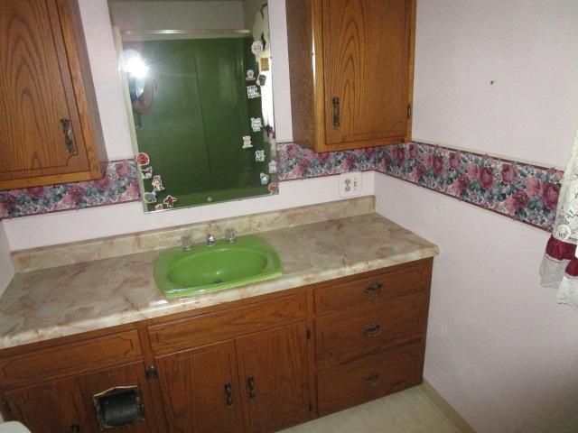 206 Central Ave, Truman, MN 56088 - photo 9