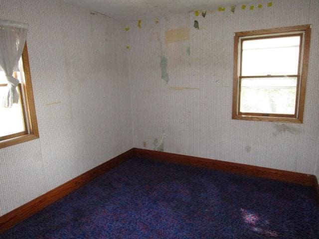 206 Central Ave, Truman, MN 56088 - photo 10