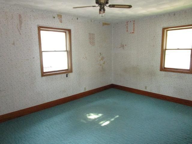 206 Central Ave, Truman, MN 56088 - photo 11