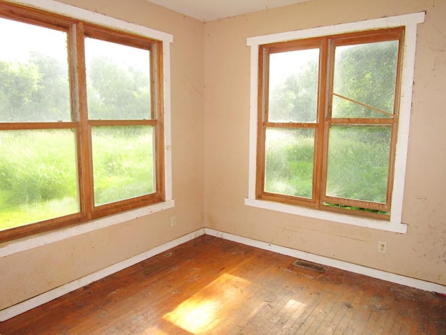 45291 County Road 52, Gaylord, MN 55334 - photo 3