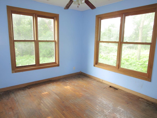 45291 County Road 52, Gaylord, MN 55334 - photo 4