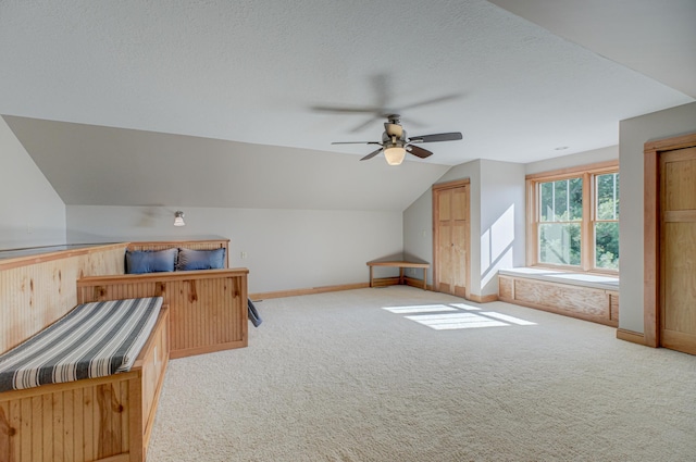 442 Wren Ln, Hudson, WI 54016 - bonus room with vaulted ceiling, carpet, ceiling fan, and a textured ceiling