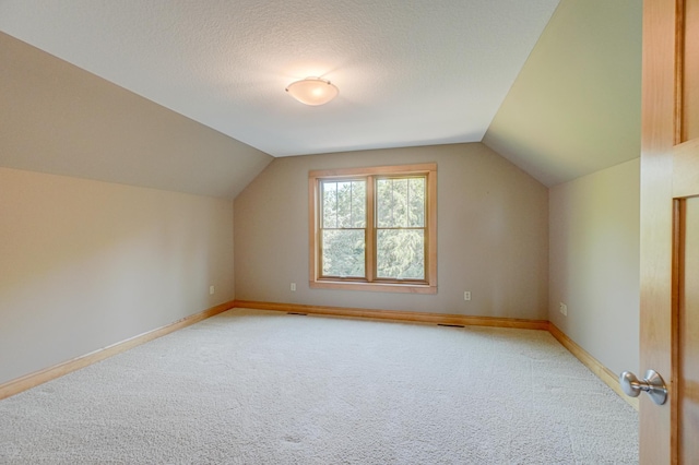 442 Wren Ln, Hudson, WI 54016 - bonus room with light carpet, lofted ceiling, and a textured ceiling
