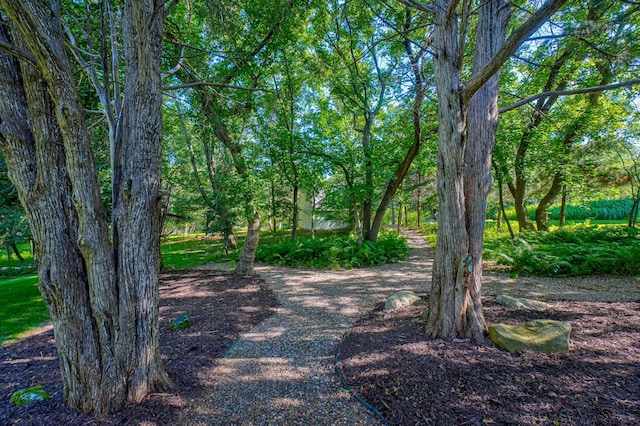 442 Wren Ln, Hudson, WI 54016 - view of yard