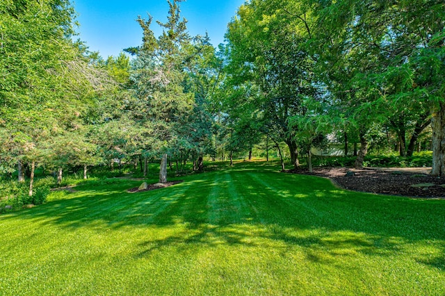 442 Wren Ln, Hudson, WI 54016 - view of green lawn