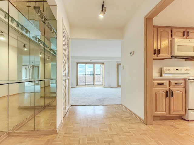 110 1st Ave NE Unit 1006, Minneapolis, MN 55413 - corridor with baseboards and light colored carpet