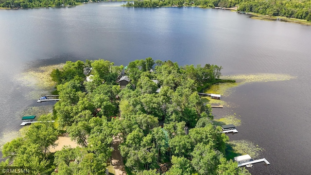 50323 214th Pl, Mcgregor, MN 55760 - photo 32